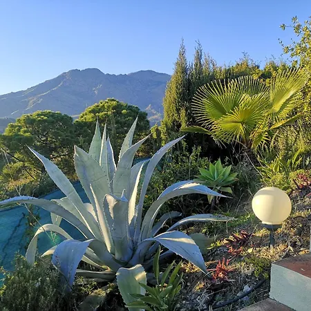 Roca Caravan Estepona